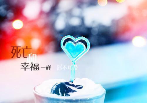 星落沧海梦难寻萧宜年小说无删减+后续（尹向晴萧宜年）畅享阅读