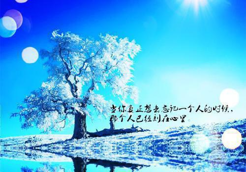 【实用】大学生求职信范文集合7篇