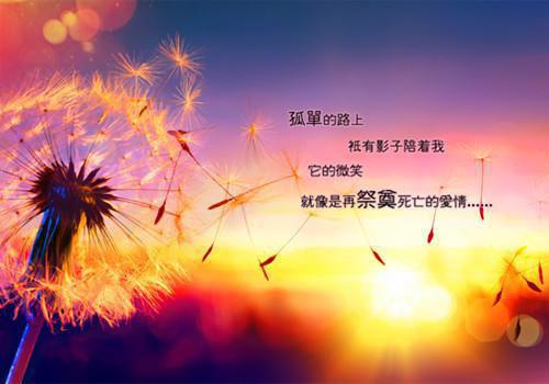 关于工作报告学习体会