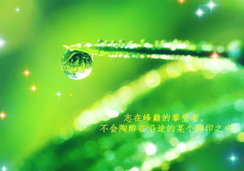 有关英文求职信范文集合八篇
