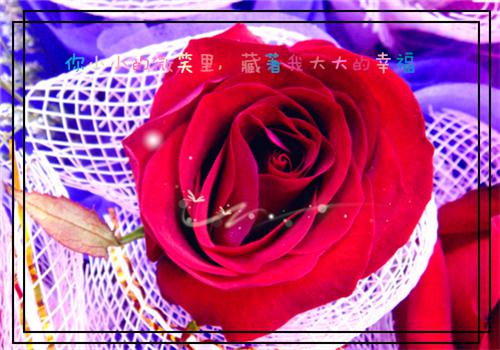 浪漫爱情名言佳句