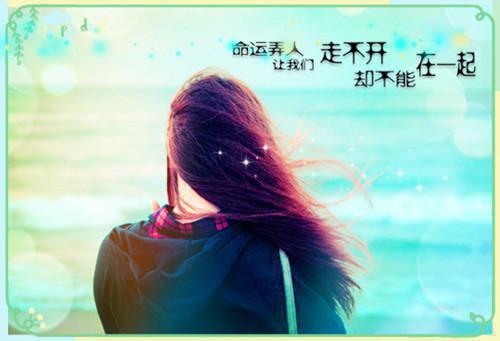 中小学教师工作证明模板