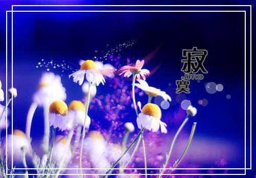 旅游管理者的求职信参考