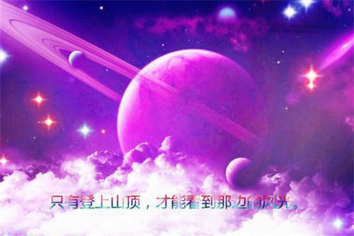 大学生党员自查报告