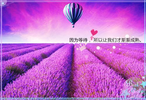 有关应届生求职自荐信集锦7篇