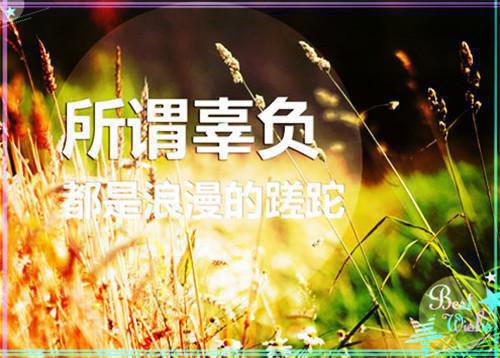 大学生2023假期回访母校的社会实践报告书