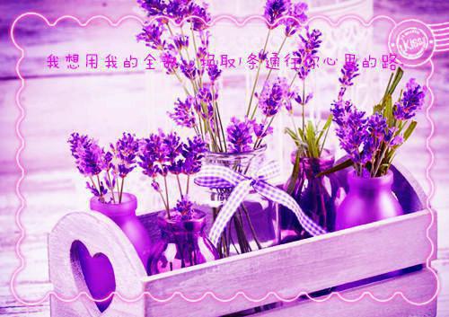 重阳节慰问信格式 重阳节慰问信范文300字