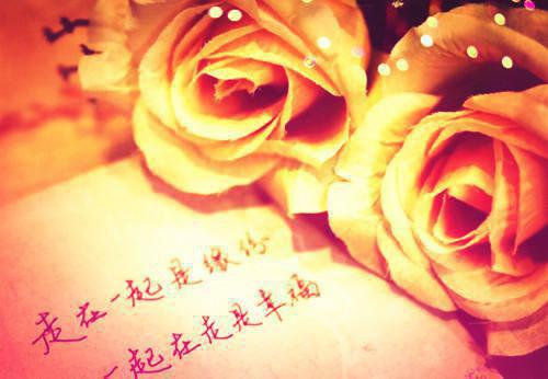 教师节诗歌——《节日的祝贺》