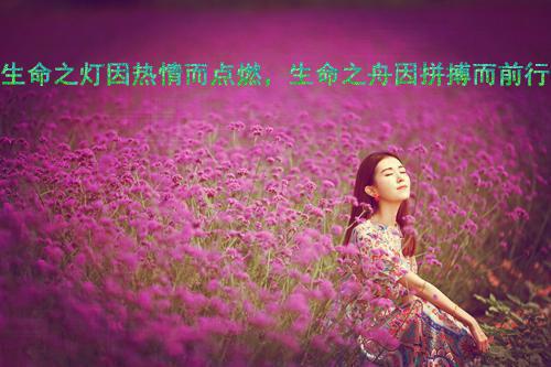 简短小故事阅读