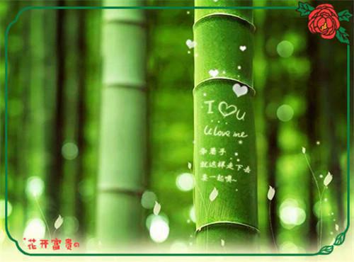 业务员求职信范文六篇