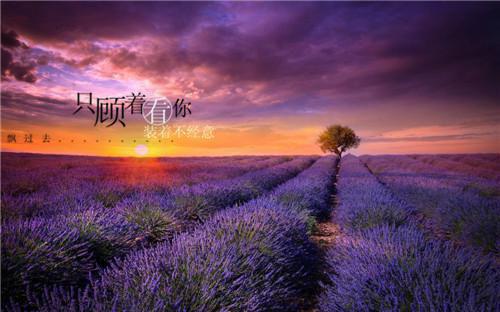 公司晚会邀请函范文(中英文对照)