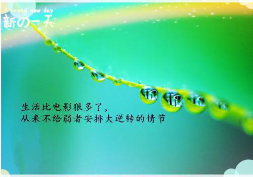 财政局2023年党建工作自查报告