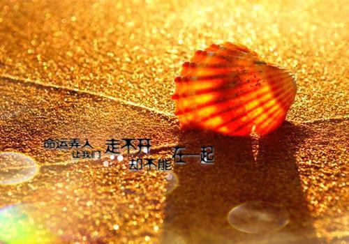 兽医工作简历模板免费下载