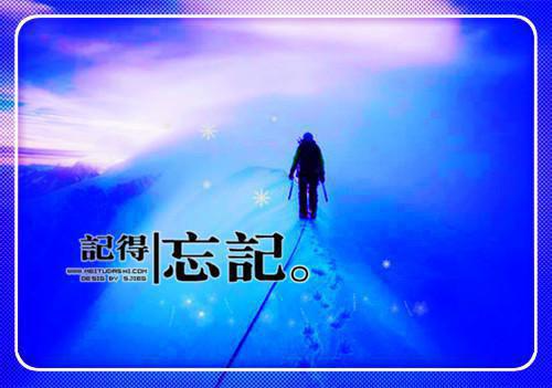 强势锁婚：惹火娇妻不太乖小说番外+结局（苏念七霍盛霆）小说在线阅读