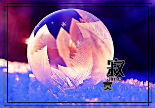 大学社会实践报告的格式