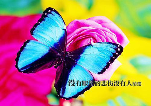 小学治理教育乱收费自查报告