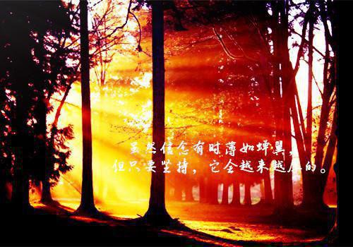 关于学习的名人名言大全摘抄