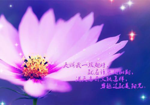 企业发票自查报告范文