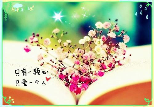 财务会计专业求职自荐信范文