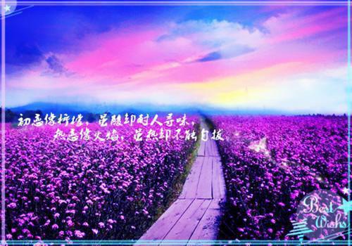 姜枝柳宋璟川宋璟川姜枝柳小说整本+后续（宋璟川姜枝柳）清爽版阅读