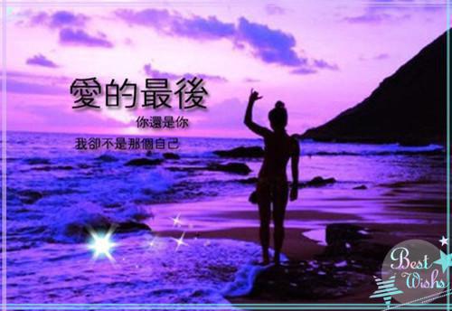 采购投标邀请函