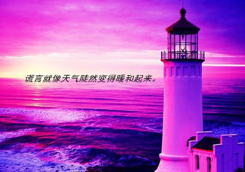 廉洁从业自查报告