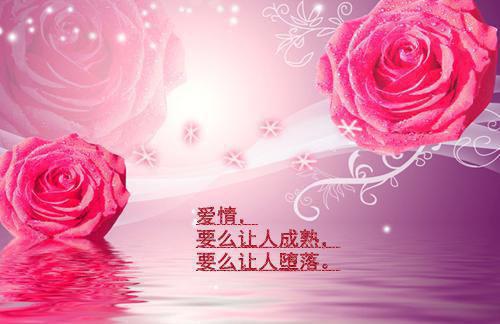 此生必读的英文名著推荐