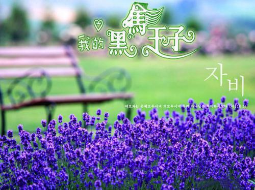 经济信息管理自荐信