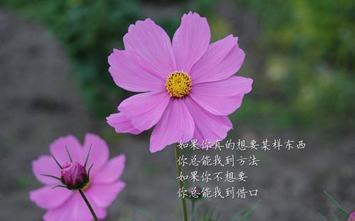 哄女友睡觉的爱情故事哄女朋友睡觉的好听爱情小故事