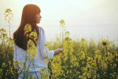教师求职英文自荐信