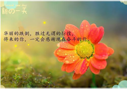 最搞笑的生日祝福短信