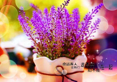 关于暑期会计社会实践报告范文