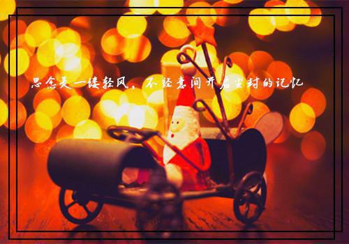 小学素质教育综合督导评估自查报告