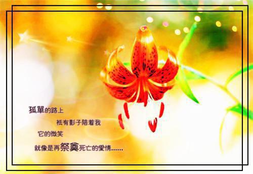农村支教实践报告