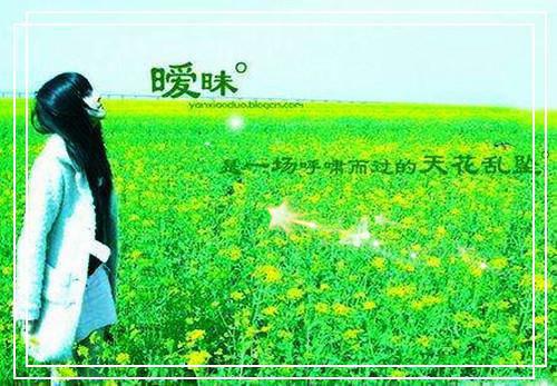 给同学的道歉信范文