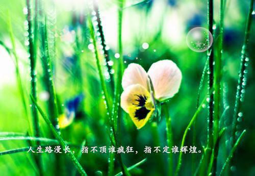 2023民生银行实习报告4篇