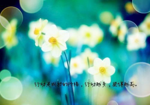 求职信—外企求职信范文