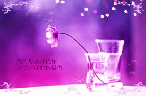 2023年婚纱摄影店社会实践报告
