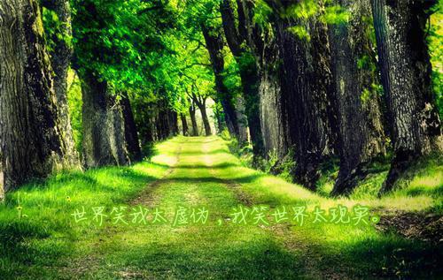 让人流泪的伤感签名很受伤 在美丽玓青春也要面对散场