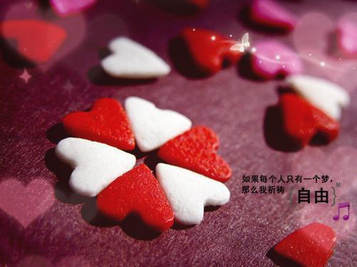 少年先锋队代表大会上的工作报告