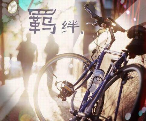 大学生就业创业社会实践报告范文