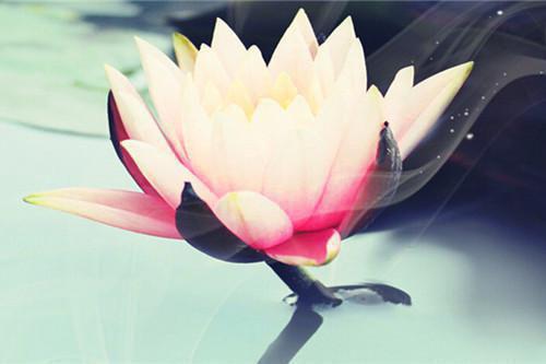 人生励志激励文章精选3篇