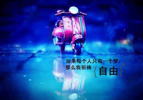 大学生毕业生自荐信