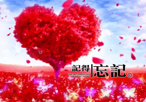 老婆道歉信范文