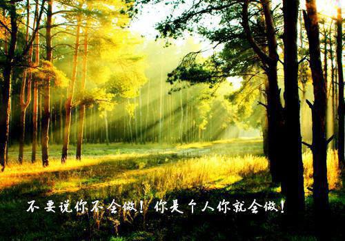 不写作业检讨书范本