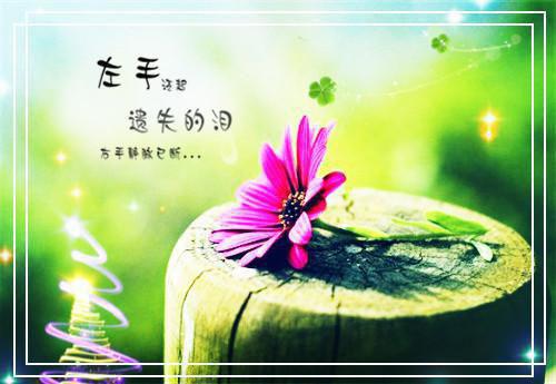 纪念中国抗日战争胜利70周年实践报告