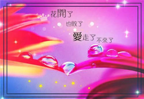 【推荐】工程专业自荐信范文锦集8篇