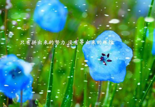 学校的交流邀请函