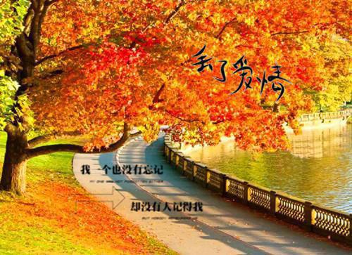 2023年大学生寒假促销员社会实践报告范文