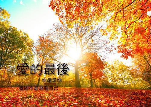 德育故事及感悟